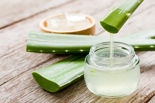 Aloe Vera Aloe Vera